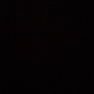 Meet your Posher, Evelyn